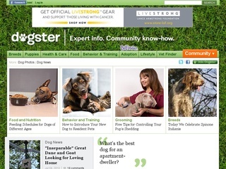 dogster.com